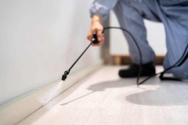 Licensed Pest Control service in Chatham, VA - Show Me Pest Control